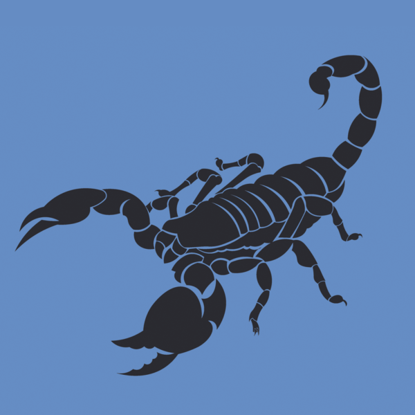 blog-le-maitre-et-le-scorpion-enocha-conte-zen